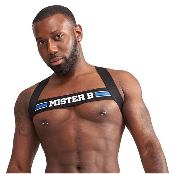 X-Back Elastic Harness Preto-Azul