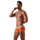 Boxer FRENCH Orange