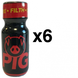 UK Leather Cleaner  PIG RED 25ml x6