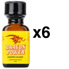  DRAGON POWER 24ml x6
