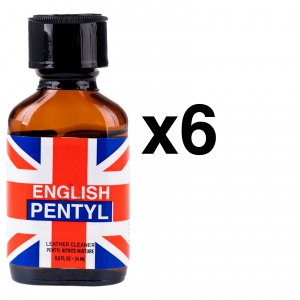 BGP Leather Cleaner ENGELS PENTEL 24ml x6