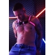 Breedwell Pink Neon Elastic Harness