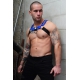 POUNDTOWN BULLDOG HARNESS - BLUE 