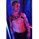 Lighted Harness POUNDTOXN BULLDOG Red