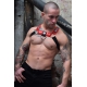 Lighted Harness POUNDTOXN BULLDOG Red