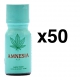  AMNÉSIA CAVALINHA 15ml x50