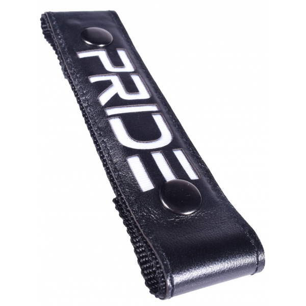 Leuchtender Strap für Pride Breedwell-Harness