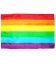 Drapeau Rainbow 90 x 140cm