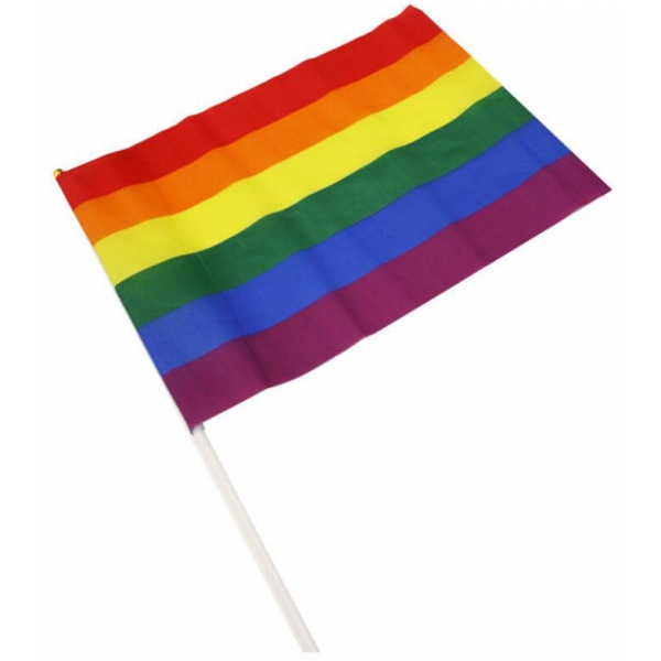 Drapeau Rainbow avec manche 20 x 28cm