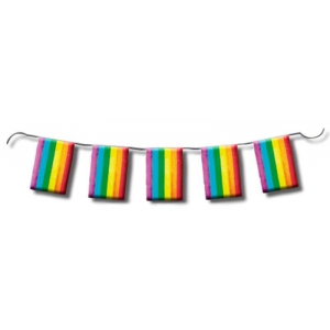 Pride Items Guirnalda de banderines arco iris 10m