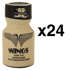 Locker Room  WINGS Marrone 10ml x24