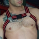 Breedwell VOYEUR Harness Red