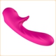 Romance G Spot Vibrator PINK