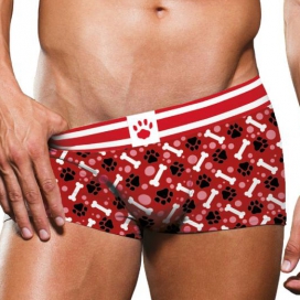 Prowler Underwear Prowler Boxershort - Red/Paw