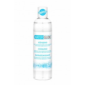 Water Glide Gleitmittel Wasser Waterglide Cool Mint 300mL