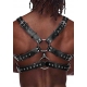 Gemini Male Power Harness