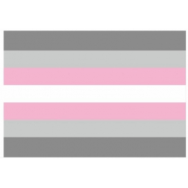 D701 Rainbow Pride Flag 60x90 cm 002 Demifille