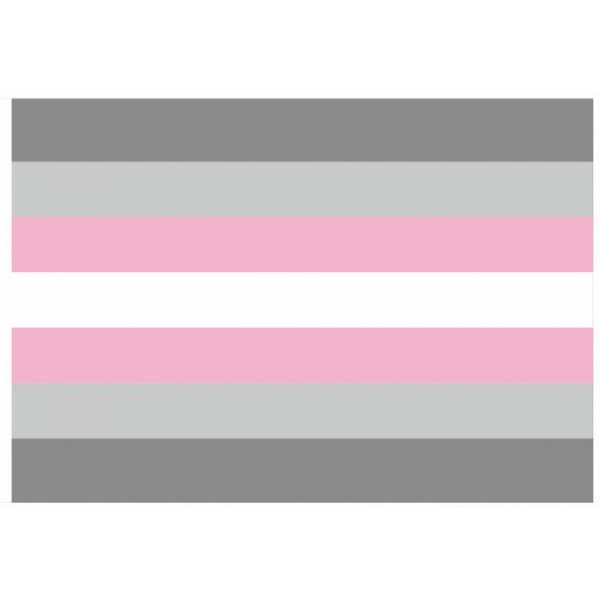D701 Rainbow Pride Flag 60x90 cm 002 Demifille