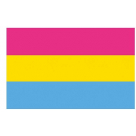 D701 Rainbow Pride Flag 90x150 cm Pansexuel