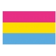 D701 Rainbow Pride Flag 90x150 cm Pansexuel