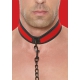 Ouch Puppy Red Neoprene Collar