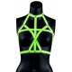 Glow Bra Harness Glow