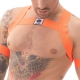 Arnês Elástico Leonsh Orange Neon Elastic Harness