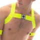 Harness Leonsh NEON YELLOW