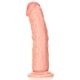 Curved Realistic Dildo with Suction Cup - 6''/ 15,5 cm