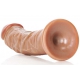 Curved Realistic Dildo with Suction Cup - 6''/ 15,5 cm