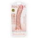 Dildo Curvo Realista 18 x 4,2cm