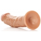 Realistische Gebogen Dildo Dildo 18 x 4,2cm Latino