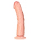 Curved Realistic Dildo with Suction Cup - 10''/ 25,5 cm