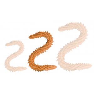 DoublePlayz Double dildo Scolop M 50 x 4cm Orange