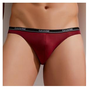 Gauvine Second Skin Gauvine Red Briefs