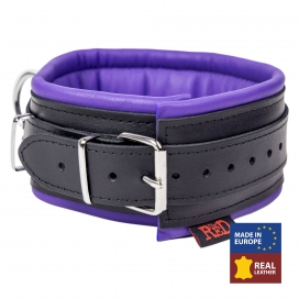 Leather Padded Collar 3 Rings D Purple