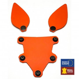 The Red PUPPY SET ORANJE LEDEREN OREN EN TONG