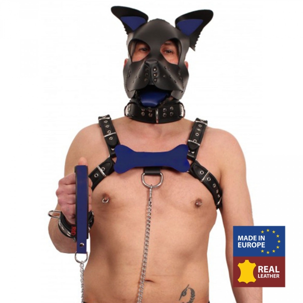 BLUE LEATHER PUPPY BONE