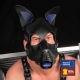 Echte Ledermaske PUPPY Blau