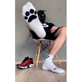 Sk8erboy Chaussettes blanches Puppy Sk8erboy