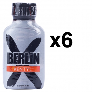 RED Leather Cleaner BERLIJN PENTYL 24ml x6