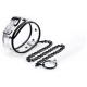 Aquax Leine Halsband Transparent