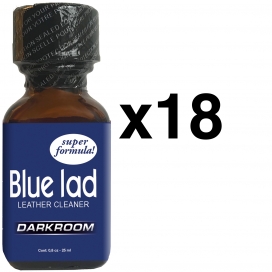 FL Leather Cleaner BLAUWE LAD DARKROOM 25ml x18