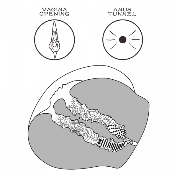 Figa Streetgirl Masturbatore #12 Vagina-Anus