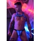 Hex Bulldog Harnas Blauw