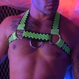 Pettorina Hex Bulldog Breedwell Verde Neon