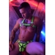 Pettorina Hex Bulldog Breedwell Verde Neon