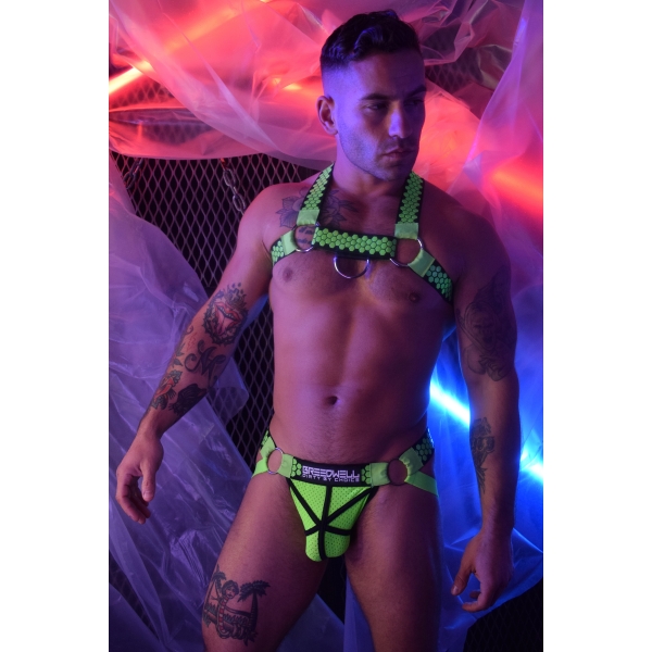 HEX BULLDOG HARNES NEON GREEN