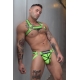 Hex Bulldog Breedwell Harness Green Neon