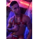 HEX BULLDOG Breedwell Harness Red